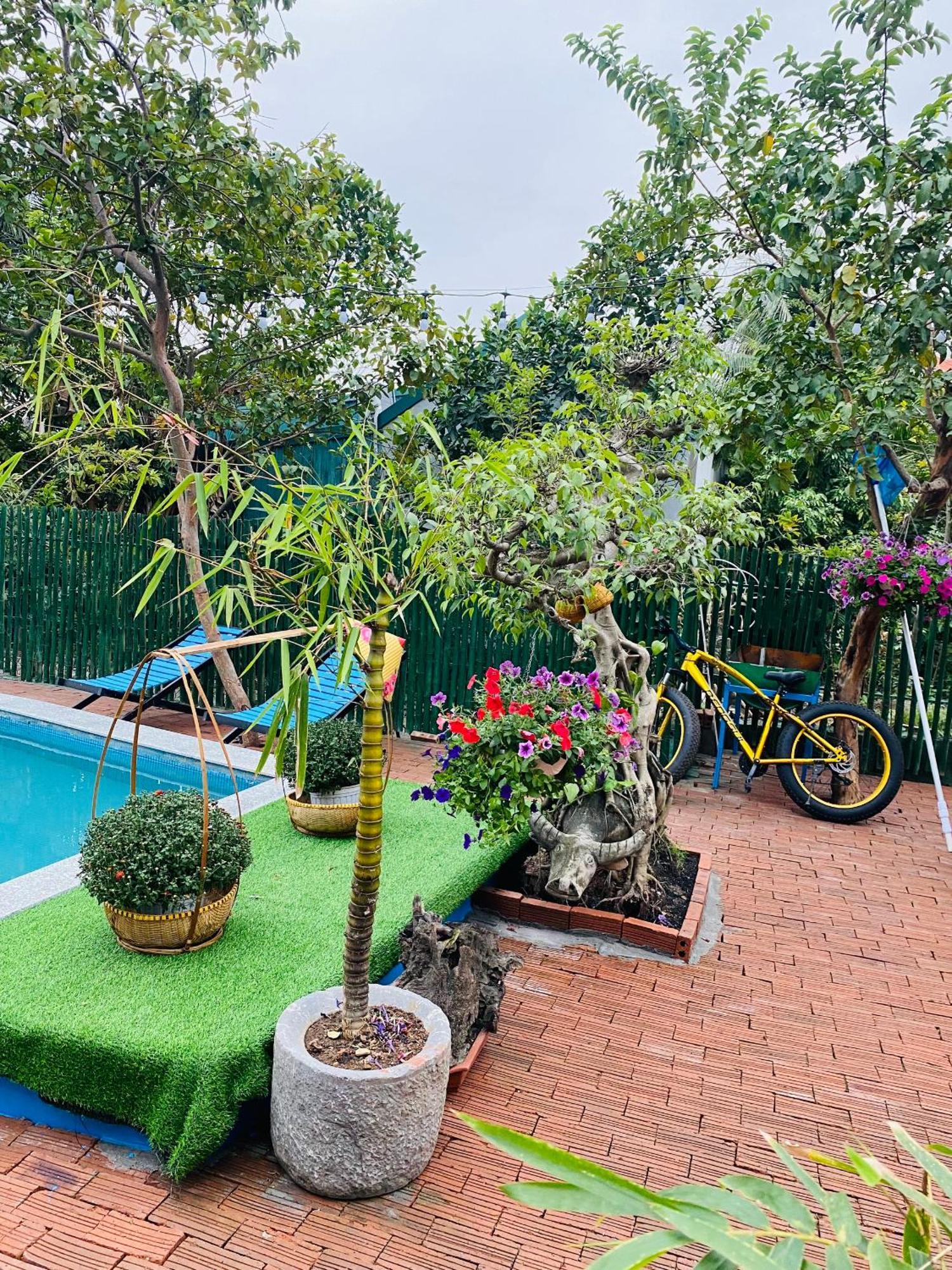 An Homestay Tam Coc Ninh Binh Exterior photo